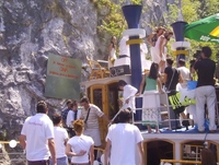 DA pod usamljenim borom