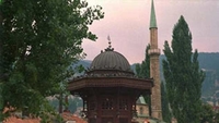 Zelena transverzala (7)