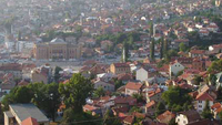 Zelena transverzala (8)