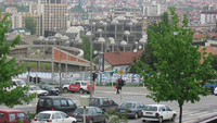 Zelena transverzala  (11)