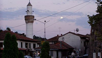 Zelena transverzala ( 13)
