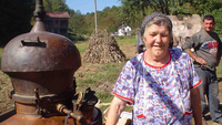 "Šljiva" po receptu domaćica          