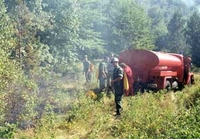 Piromani pale, šumari gase 