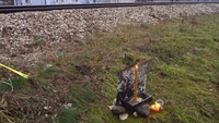 Muk i nevjerica u Petrovu poslije tragične smrti učeni