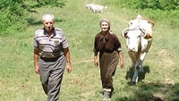 Tragična smrt Bogoljuba Bojanića iz Donje Ljupljanice 