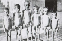 Jasenovac (3)