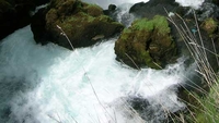 Veliki potencijali Šipova i Ribnika 