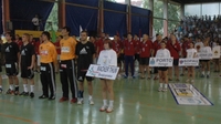 Svi love lavove