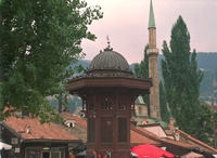 Časopis Društva SVETI SAVA Bratstvo - od 1887. do 1941. godine (VI)                        