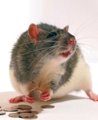 Lopov miš