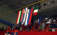 Svjetsko pojedinačno prvenstvo u kuglanju Banja Luka 2008: Srpski kuglaši osvojili planetu