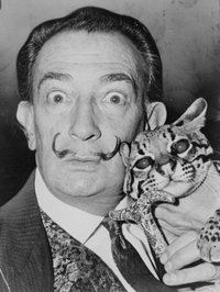 Antonio Banderas kao Salvador Dali