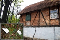 Jela Janjić i Nada Sojić ubile ljubavnika i raskomadale tijelo da sakriju zločin