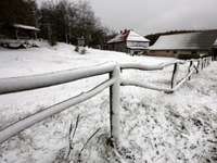 Crna hronika - utorak, 25. januar