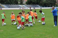 Zvezda uči talente