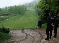 Crna hronika - vikend, 13. - 14. avgust