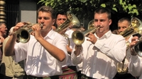 Najbolji orkestar Dejana Lazarevića VIDEO