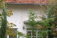 Bombom i rafalima na kuću advokata Balijagića
