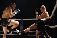 Marjanović savladao Hromeka