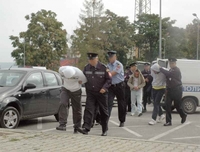 Priznali da su uzgojili 80 kilograma marihuane