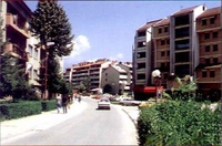Za brutalno ubistvo supruge dobio samo 12 godina robije