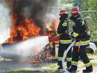 Pola Dalmacije u požaru