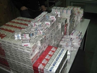 Spriječeno krijumčarenje 2.070 kutija cigareta