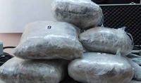 Tuzla: Uhapšena tri lica, pronađeno devet kilograma marihuane