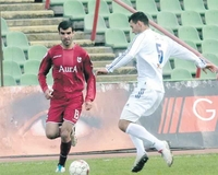 Obradović i Dujak režirali krađu