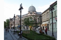 Uvukao ženu u vozilo i silovao je