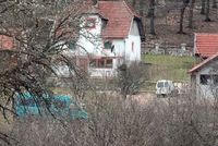 Čolović prijavljen zbog pucnjave na slavi