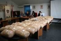 Albanci pali sa više od 100 kilograma marihuane