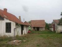 U tuči ilegalaca kraj Subotice ubijen Pakistanac