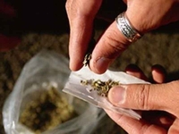 Zbog proizvodnje i prometa opojnih driga dva lica uhapšena