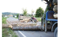 Trupci usmrtili vozača “fijeste”