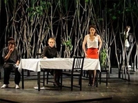 “Lasice” na sceni Teatar festa