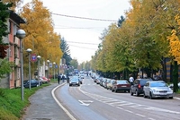 Flašom isjekao policajca