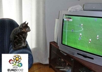 Smiješna strana EURO2012 u 60 sekundi VIDEO