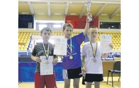 Titula Mihailoviću