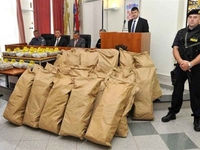 Na GP Bajakovo pronađena 302 kilograma marihuane