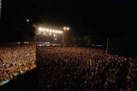 EXIT: New Order i bal pod maskama