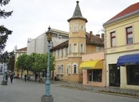 Pretukli čovjeka, pa pucali iz puške