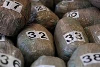 Beograd: Švercovao 15 kilograma marihuane