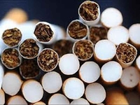 Gacko: Nakon potjere pronađeno 788 boksova cigareta