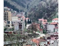 Srebrenica: Pas lutalica donio ljudsku nogu