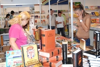 Promocija romana Svetislava Basare