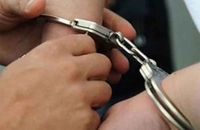 Novi Sad: Sjekirom i nožem na sugrađane
