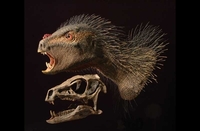 Otkriven dinosaurus vampir