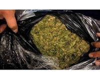 Zaplijenjeno devet kilograma skanka