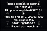 Karleuša duguje pola miliona za račun za mobilni!